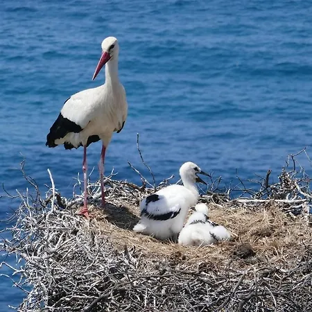 Ouramar - 550 Meters From De *